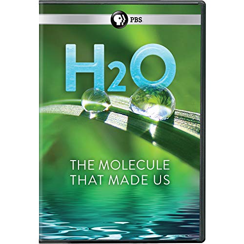 H2O: The Molecule That Made Us
