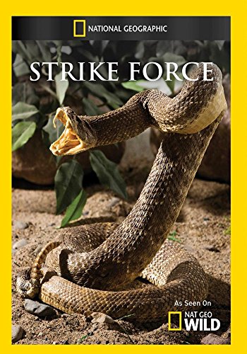 Strike Force [Edizione: Stati Uniti]