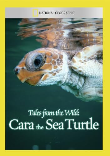 Tales From The Wild: Cara The Sea Turtle [Edizione: Stati Uniti]