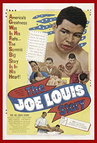 Joe Lewis Story [Edizione: Stati Uniti]
