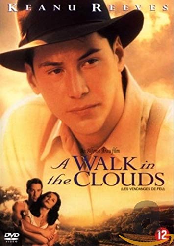 Walk In The Clouds - Various