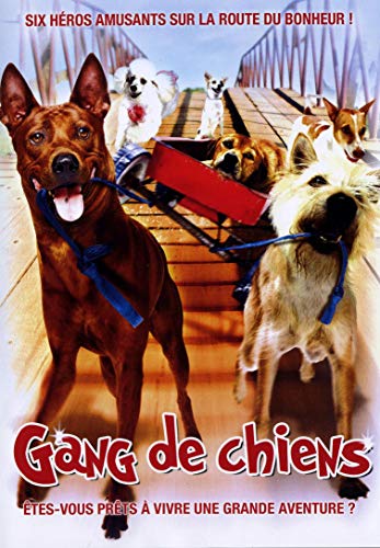 Gang De Chiens