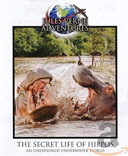 Blu-Ray - Jules Verne - The Secret Life Of Hippos (1 Blu-Ray)