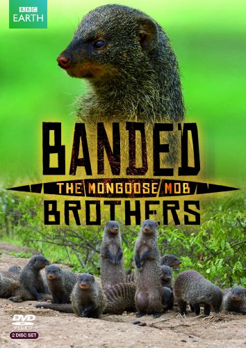 Banded Brothers: The Mongoose Mob [Edizione: Regno Unito]