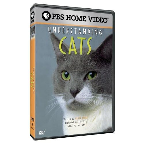 Understanding Cats [Edizione: Stati Uniti]