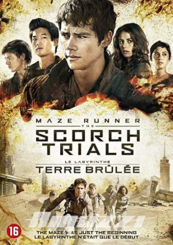Le Labyrinthe : La Terre Brûlée