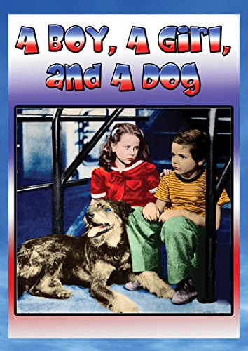 A Boy, A Girl And A Dog