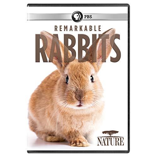 Nature: Remarkable Rabbits