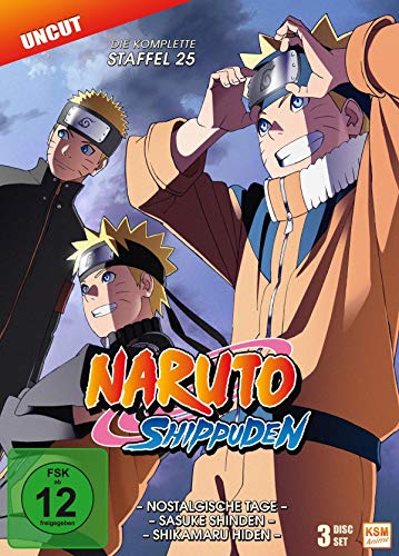 Naruto Shippuden - Staffel 25 (Folgen 700-713)