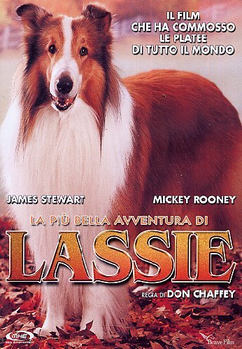 La Piu' Bella Avventura Di Lassie