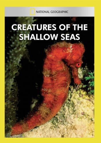 Creatures Of The Shallow Seas [Edizione: Stati Uniti]