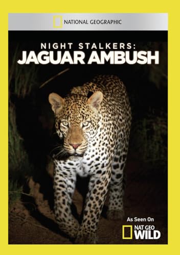 Night Stalkers: Jaguar Ambush