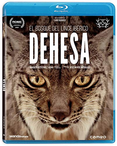 Dehesa, El Bosque Del Lince Ibérico