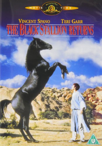 Black Stallion Returns The