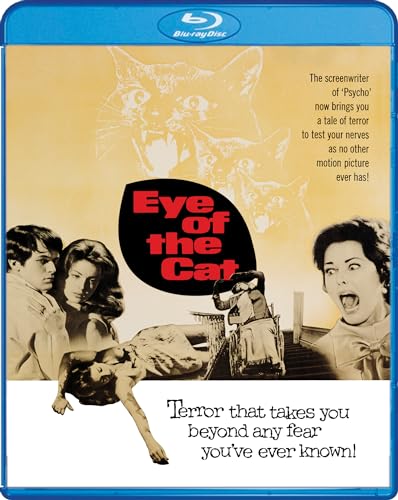 Eye Of The Cat
