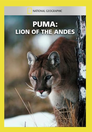 Puma: Lion Of The Andes [Edizione: Stati Uniti]