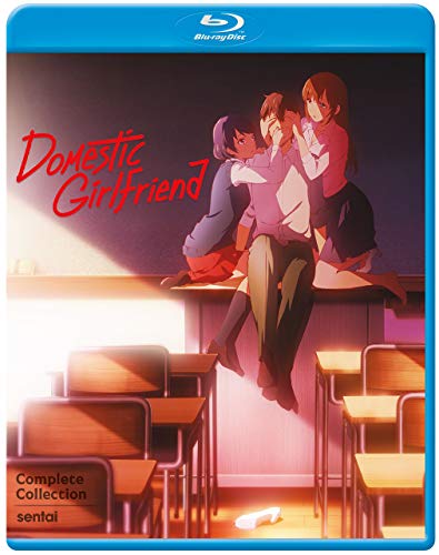 Domestic Girlfriend