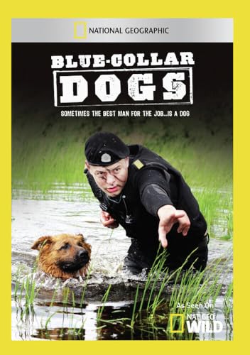 Blue Collar Dogs