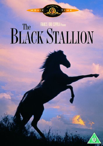 Black Stallion The