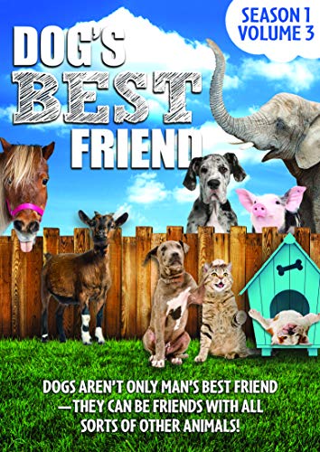 Dog'S Best Friend: Season 1 Volume 3