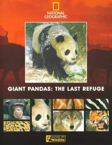 Giant Pandas: The Last Refuge