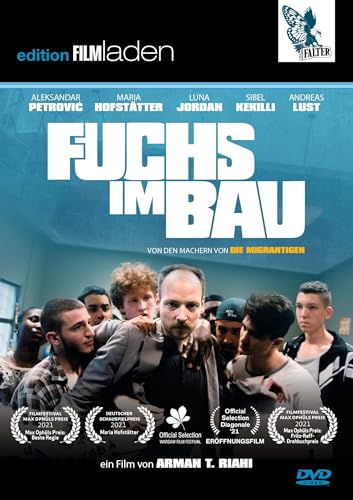 Fuchs Im Bau