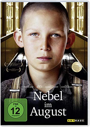 Nebel Im August