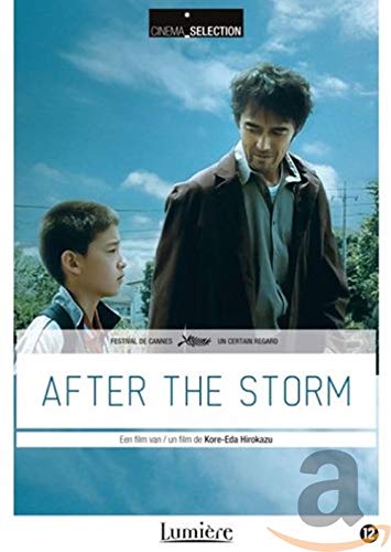 Dvd - After De Storm (1 Dvd)