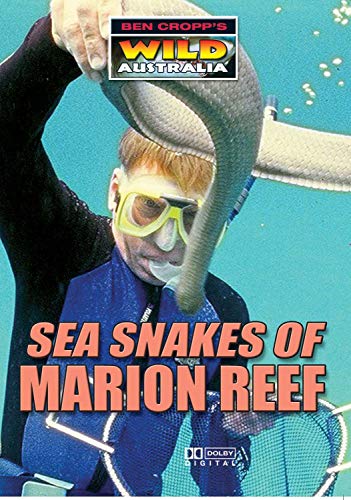 Sea Snakes Of Marion Reef [Edizione: Regno Unito] [Edizione: Regno Unito]