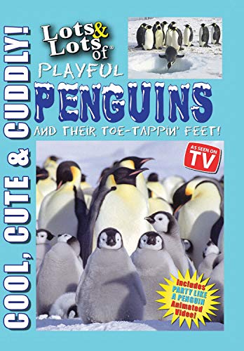 Lots And Lots Of Playful Penguins