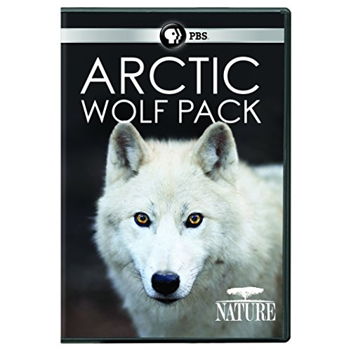 Nature: Arctic Wolf Pack