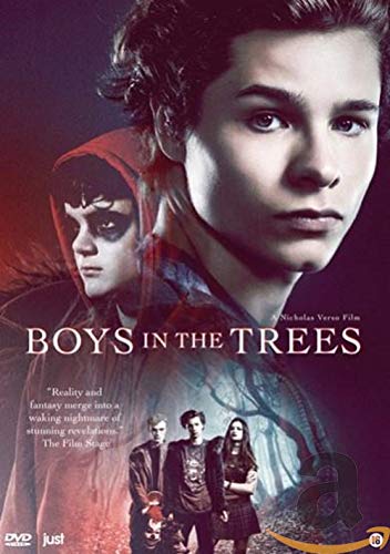 Dvd - Boys In The Trees (1 Dvd)