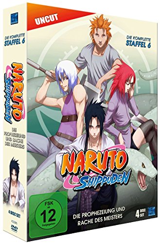 Naruto Shippuden, Staffel 6: Die Prophezeiung Und Rache Des Meisters (Episoden 333-363, Uncut) [4 Dvds]