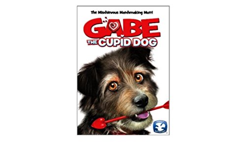 Gabe The Cupid Dog