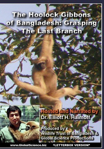 Hoolock Gibbons Of Bangladesh: Grasping The Last [Edizione: Stati Uniti]