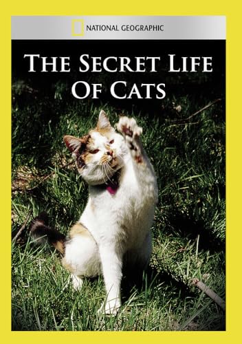 Secret Life Of Cats [Edizione: Stati Uniti]