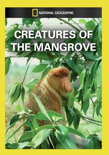 Creatures Of The Mangrove [Edizione: Stati Uniti]