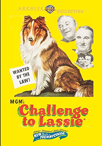 Challenge To Lassie