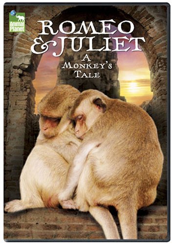 Romeo & Juliet: A Monkey S Tale