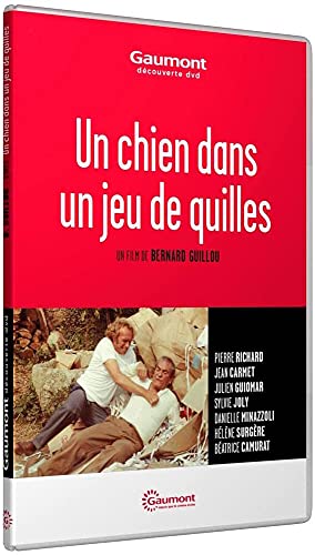 Un Chien Dans Un Jeu De Quilles