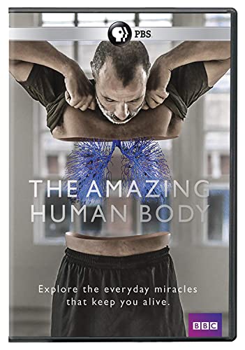 The Amazing Human Body