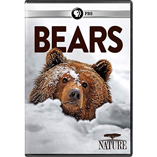 Nature: Bears
