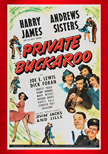 Private Buckaroo [Edizione: Stati Uniti]