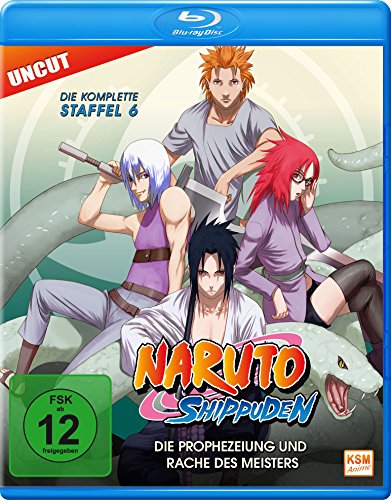 Naruto Shippuden - Staffel 6: Folge 333-363 - Die Prophezeiung Und Rache Des Meisters (Uncut) [Blu-Ray]