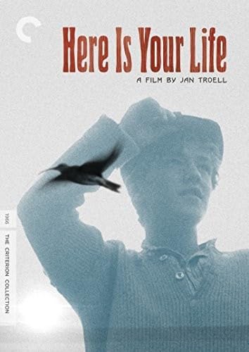 Here Is Your Life