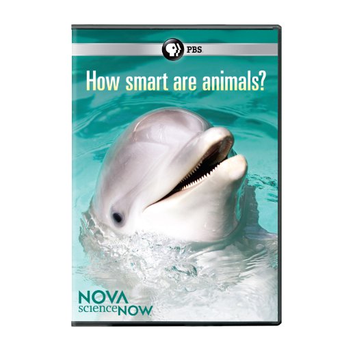 Nova Sciencenow: How Smart Are Animals?