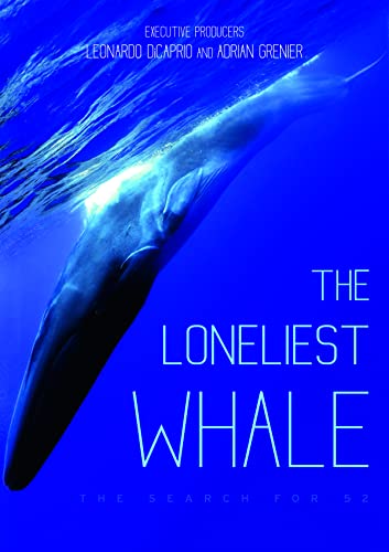 The Loneliest Whale: The Search For 52