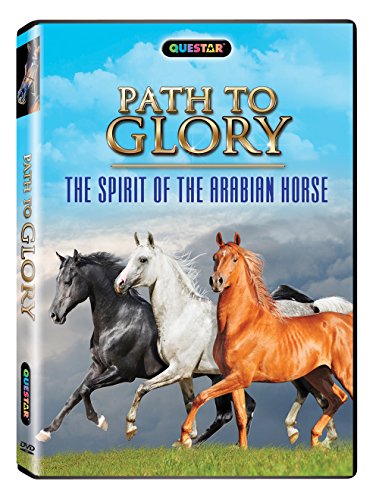 Path To Glory: The Spirit Of The Arabian Horse