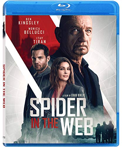 Spider In The Web