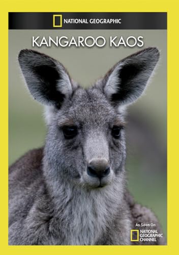 Kangaroo Kaos [Edizione: Stati Uniti]